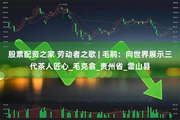 股票配资之家 劳动者之歌 | 毛鹃：向世界展示三代茶人匠心_毛克翕_贵州省_雷山县