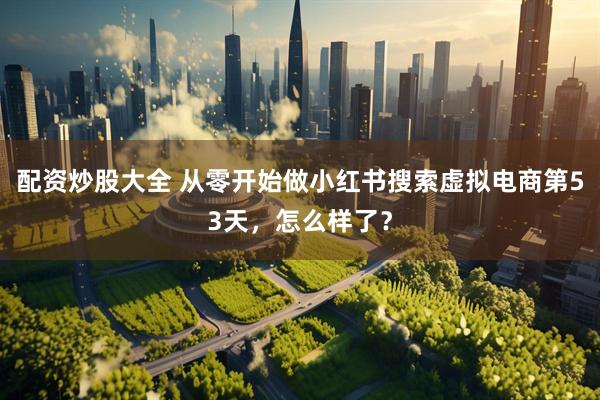 配资炒股大全 从零开始做小红书搜索虚拟电商第53天，怎么样了？