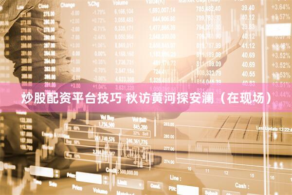 炒股配资平台技巧 秋访黄河探安澜（在现场）