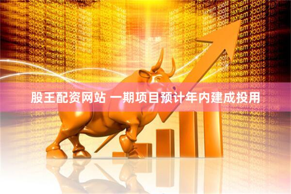 股王配资网站 一期项目预计年内建成投用