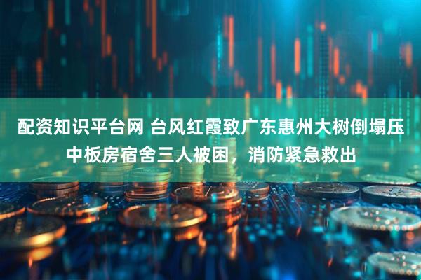 配资知识平台网 台风红霞致广东惠州大树倒塌压中板房宿舍三人被困，消防紧急救出